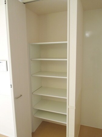 セレーナの物件内観写真